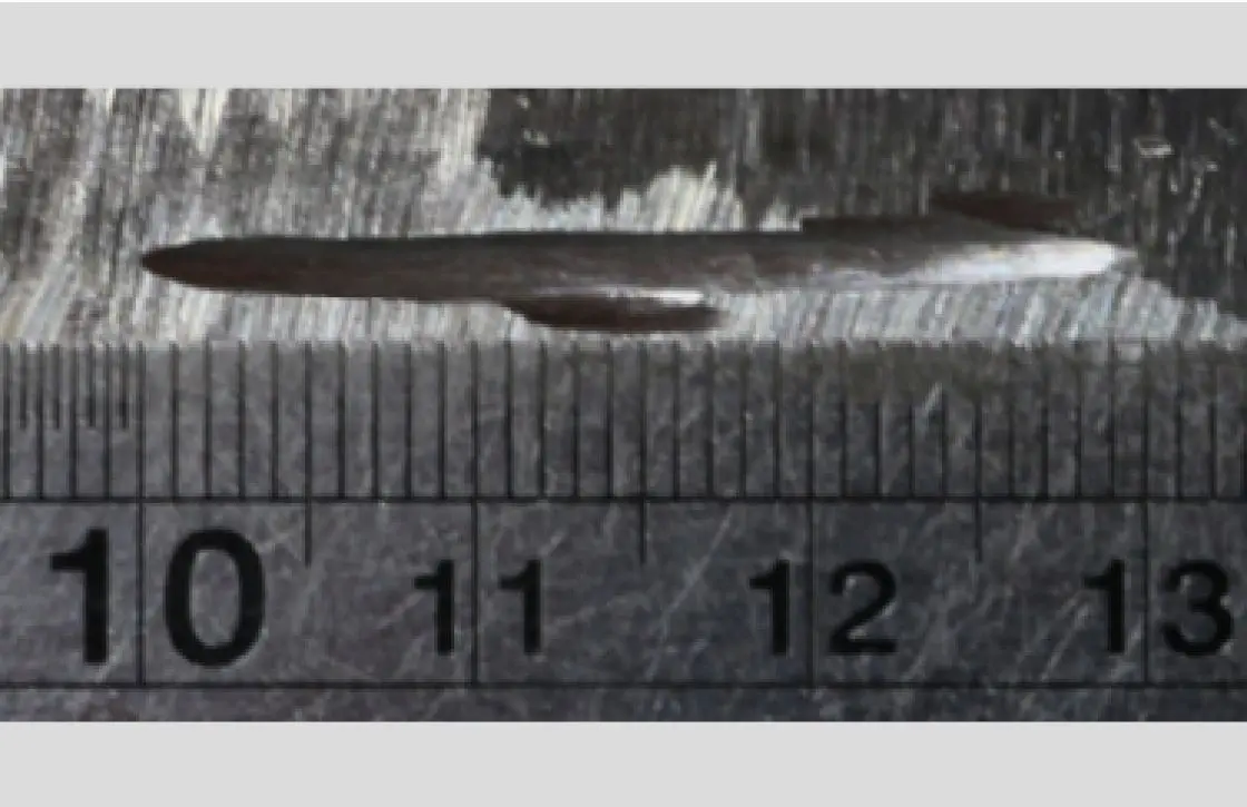 Наплавленная лазером проволока крупным планом с линейкой