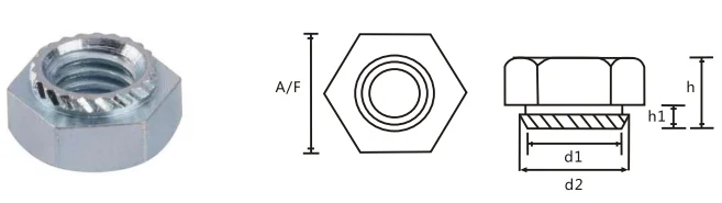 Резьбовая запрессовочная шестигранная гайка K-Nut Сталь оцинкованная M6 для металла тощиной 1,5 мм